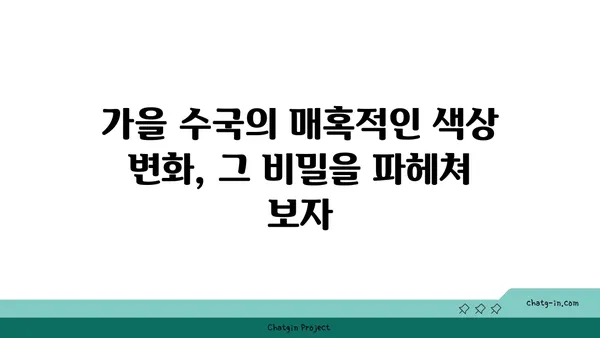 가을 정원을 물들이는 수국의 매혹적인 색상 변화 | 가을 수국, 수국 색깔, 가을 정원