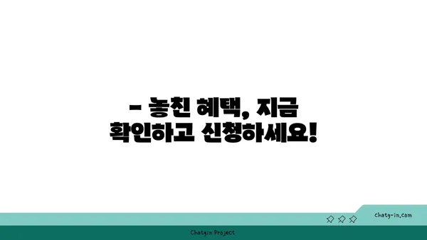 근로장려금 못 받았어요? 놓치고 있는 혜택, 지금 확인하세요! | 미수령 이유, 대처법, 신청 방법