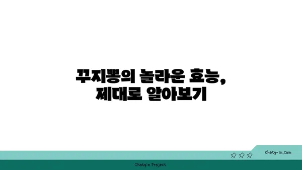 꾸지뽕나무 효능과 활용법 총정리 | 꾸지뽕 효능, 꾸지뽕차, 꾸지뽕나무 재배