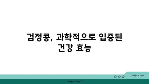 검정콩의 놀라운 효능| 과학이 입증한 건강 비밀 | 검정콩, 영양, 질병 예방, 다이어트, 레시피