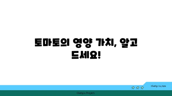 건강한 식단을 위한 선택! 토마토를 먹어야 하는 10가지 이유 | 토마토 효능, 영양, 레시피