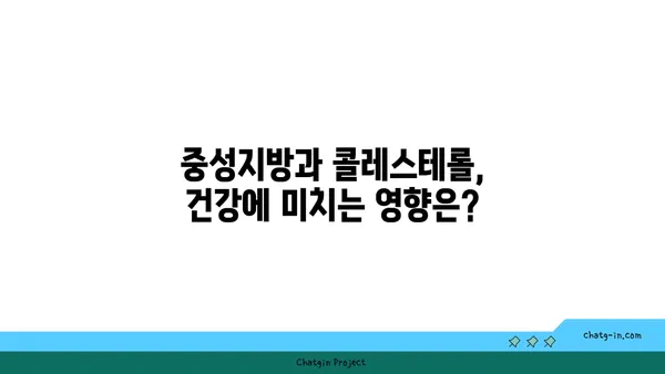 중성지방과 콜레스테롤| 당신은 얼마나 알고 있나요? | 건강, 지방, 콜레스테롤, 차이점, 비교