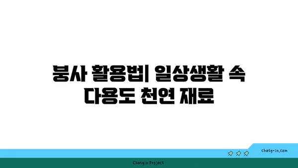 붕사의 놀라운 활용법| 세척부터 살균까지 | 붕사, 활용법, 세척, 살균, 천연 세제