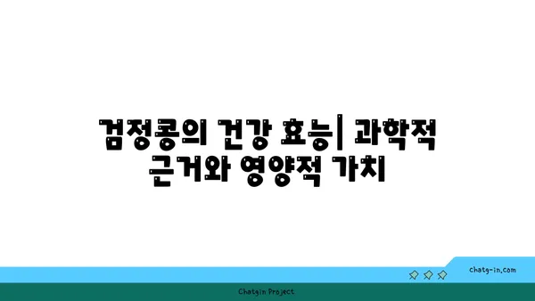 검정콩의 건강 효능| 과학적 근거와 영양적 가치 | 건강, 영양, 식단, 항산화, 혈당 조절