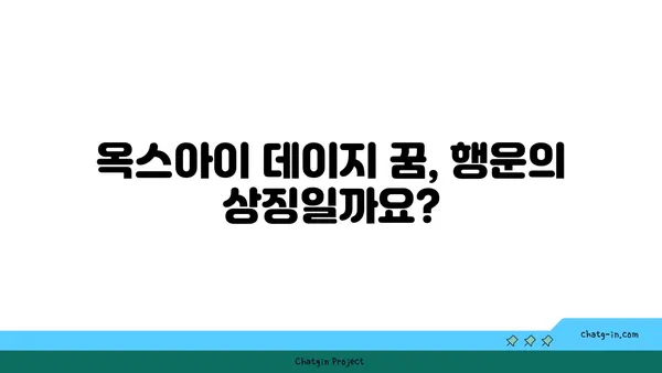 옥스아이 데이지 꿈| 무엇을 의미할까요? | 꿈 해몽, 꽃, 상징, 의미