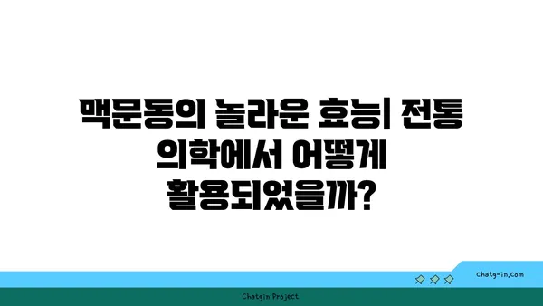 맥문동의 역사 속에서 찾아낸 놀라운 효능| 전통 의학에서의 활용 | 맥문동, 약초, 한방, 건강, 전통 의학, 역사