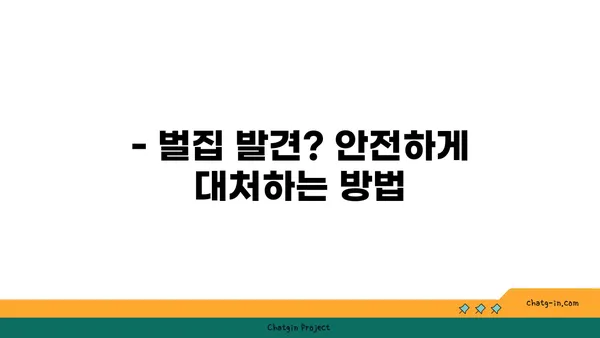 벌집 제거, 안전하게 해결하는 방법 | 벌 제거, 벌집 제거, 벌 쏘임, 안전 가이드