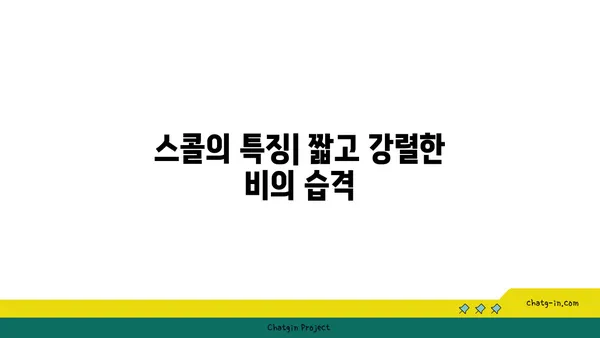 스콜 현상의 비밀| 원인과 특징, 그리고 예측 가능한가? | 기상 현상, 폭우, 갑작스러운 비