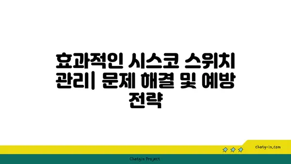 시스코 스위치 네트워크 성능 최적화| 필수 요소와 실질적인 팁 | 네트워크 관리, 성능 향상, 문제 해결