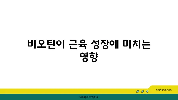 운동과 비오틴| 건강한 근육 성장을 위한 필수 조합 | 비오틴 효능, 근육 성장, 운동 영양