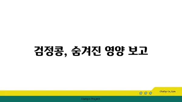 검정콩의 놀라운 효능| 과학이 입증한 건강 비밀 | 검정콩, 영양, 질병 예방, 다이어트, 레시피