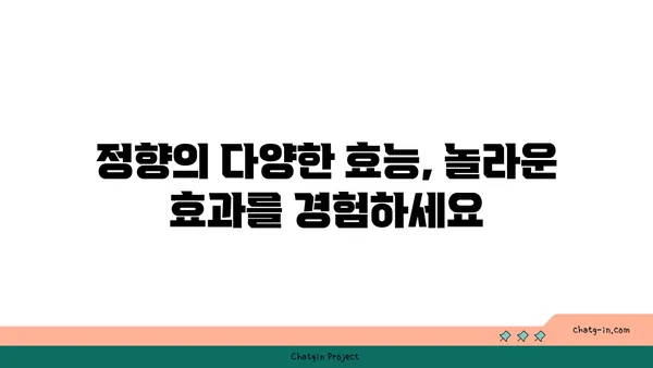 정향의 놀라운 효능과 활용법| 건강, 요리, 그리고 미용까지 | 정향, 건강, 요리, 미용, 효능, 활용