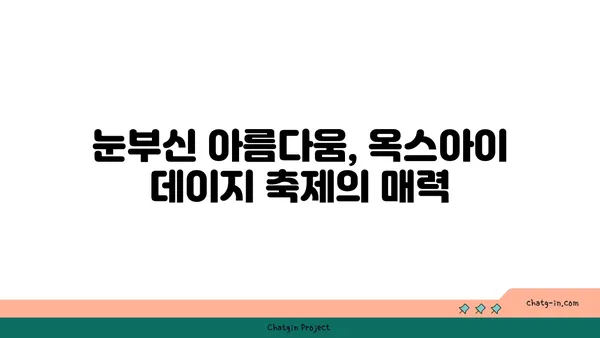 옥스아이 데이지의 꽃말과 축제| 사랑과 희망을 전하는 아름다움 | 옥스아이 데이지, 꽃말, 축제, 의미, 전설