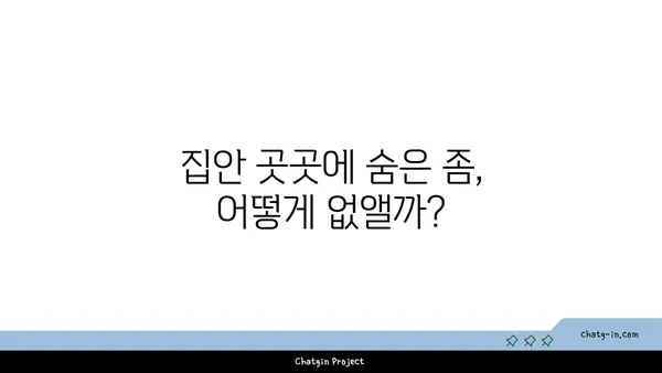 깨끗한 집의 비밀| 좀을 쫓아내는 7가지 기술 | 벌레퇴치, 집청소, 위생 관리