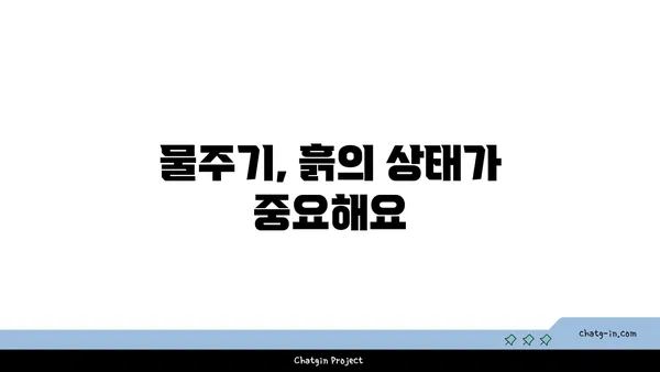 식물을 위한 완벽한 물주기 가이드| 시들지 않고 건강하게 키우는 비법 | 물주기, 식물 관리, 건강한 식물