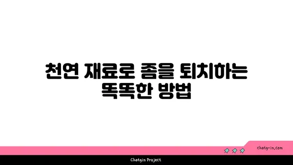 좀 퇴치| 집안의 거침없는 침입자를 완벽하게 없애는 7가지 방법 | 좀, 퇴치, 해충, 방역, 천연, 살충제, 예방