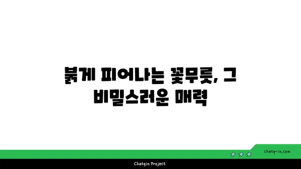 꽃무릇의 매혹적인 비밀| 피는 시기부터 전설까지 | 꽃무릇, 상사화, 꽃말, 전설, 개화시기, 의미