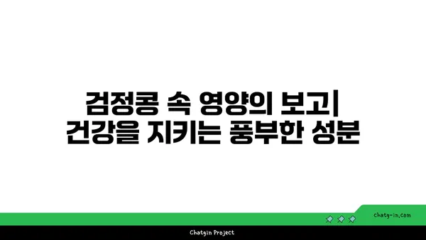 검정콩의 과학적 비밀| 질병 예방을 위한 강력한 파워푸드 | 건강, 영양, 항산화, 콩, 블랙빈