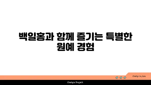 백일홍의 매력에 빠지다|  꽃말, 종류, 재배 방법 완벽 가이드 | 백일홍, 꽃, 원예, 재배, 종류, 꽃말