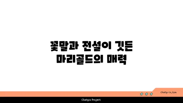 마리골드 꽃의 매력, 심는 방법부터 관리까지 완벽 가이드 | 마리골드 키우기, 꽃말, 종류, 효능