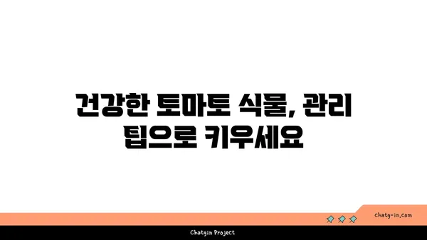 토마토 해충 및 질병 관리| 건강한 식물을 위한 완벽 가이드 | 토마토 재배, 병충해 예방, 관리 팁