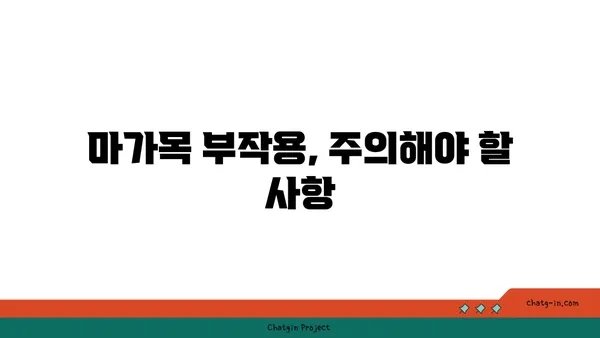 마가목의 효능과 부작용| 섭취 방법 및 주의사항 | 건강, 약초, 민간요법