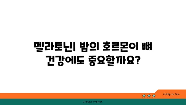 멜라토닌과 뼈 건강| 골다공증과 골절 예방에 미치는 영향 | 멜라토닌, 골 건강, 골다공증, 골절, 건강 정보