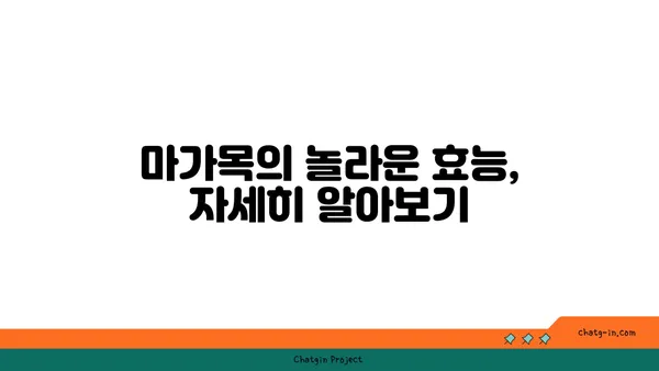 마가목의 효능과 부작용| 섭취 방법 및 주의사항 | 건강, 약초, 민간요법