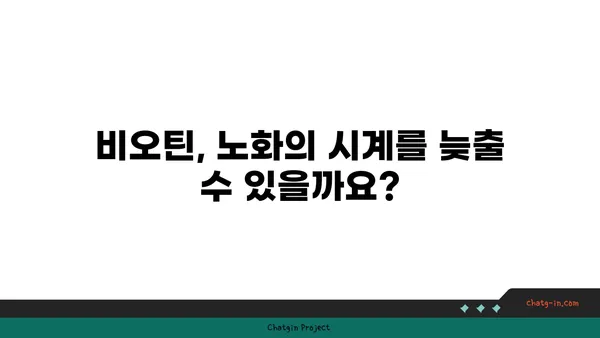 비오틴, 노화 방지에 효과적인가요? | 비오틴, 노화, 건강, 영양