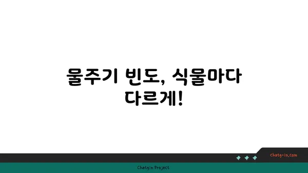 식물을 위한 완벽한 물주기 가이드| 시들지 않고 건강하게 키우는 비법 | 물주기, 식물 관리, 건강한 식물