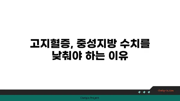 중성지방 완벽 가이드| 이해하기 쉽게 설명하는 모든 것 | 건강, 혈액 검사, 고지혈증, 관리 방법, 식단