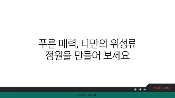 위성류의 매력에 빠지다| 종류별 특징과 인기 위성류 소개 | 위성류, 식물, 관상, 재배, 종류, 인기