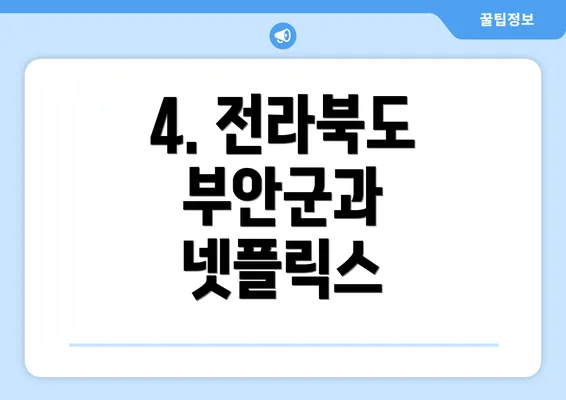 4. 전라북도 부안군과 넷플릭스