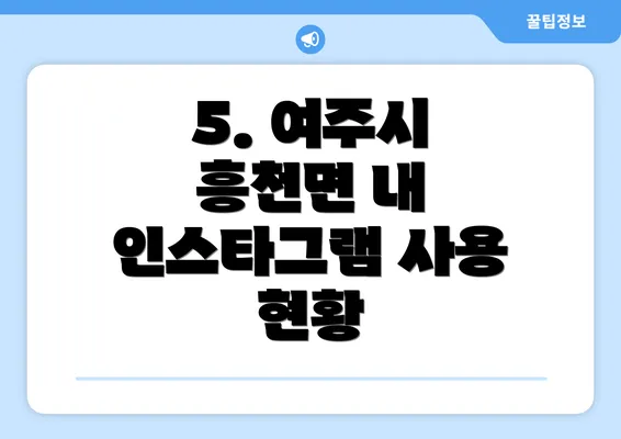 5. 여주시 흥천면 내 인스타그램 사용 현황