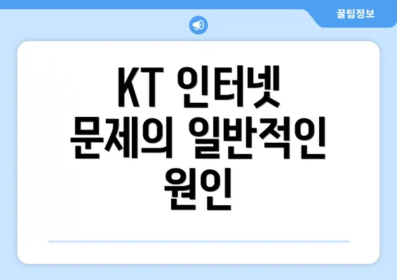 KT 인터넷 문제의 일반적인 원인