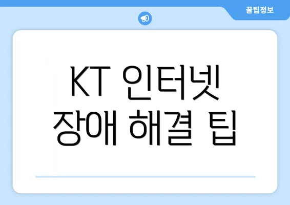 KT 인터넷 장애 해결 팁