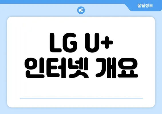 LG U+ 인터넷 개요