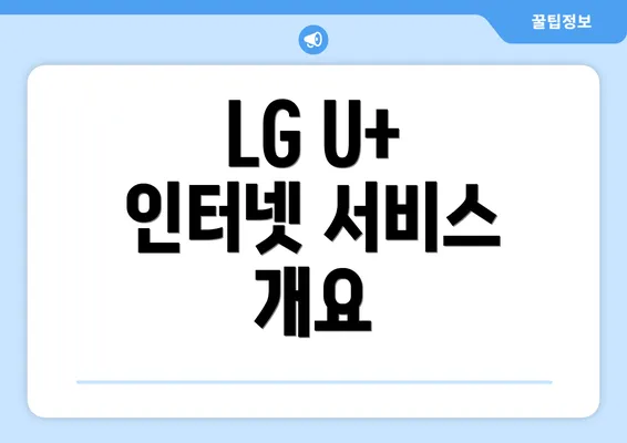 LG U+ 인터넷 서비스 개요