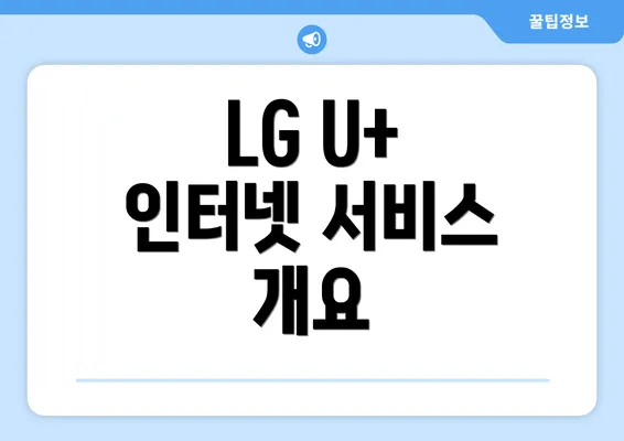 LG U+ 인터넷 서비스 개요