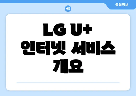 LG U+ 인터넷 서비스 개요