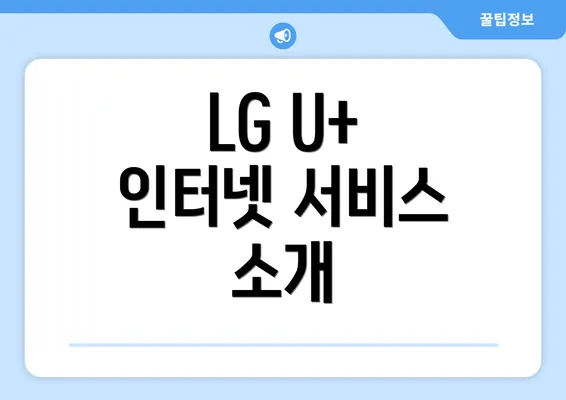 LG U+ 인터넷 서비스 소개