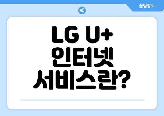 LG U+ 인터넷 서비스란?