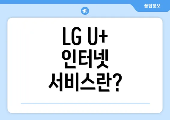 LG U+ 인터넷 서비스란?