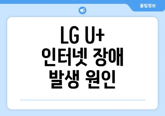 LG U+ 인터넷 장애 발생 원인