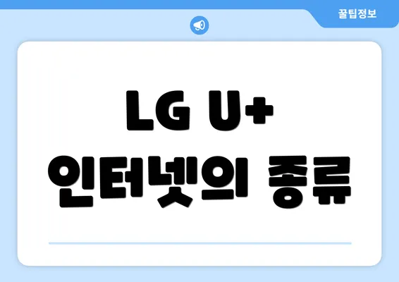 LG U+ 인터넷의 종류