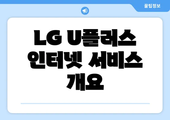 LG U플러스 인터넷 서비스 개요