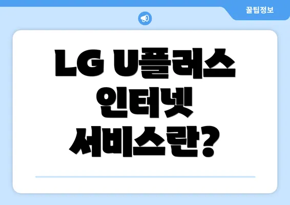 LG U플러스 인터넷 서비스란?