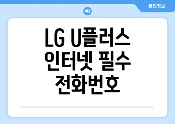 LG U플러스 인터넷 필수 전화번호