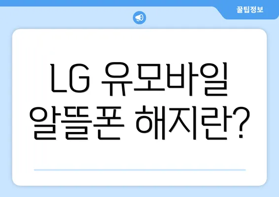 LG 유모바일 알뜰폰 해지란?