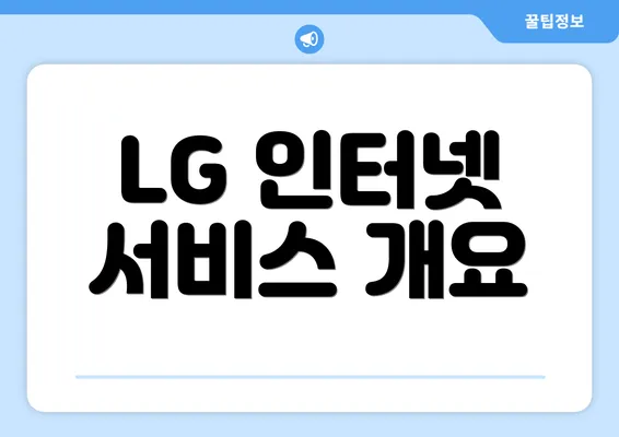 LG 인터넷 서비스 개요